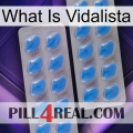 What Is Vidalista 23